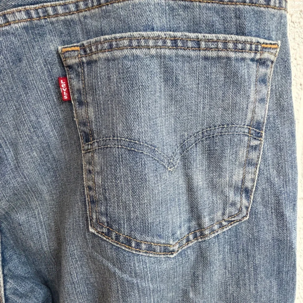 Levis levi 569